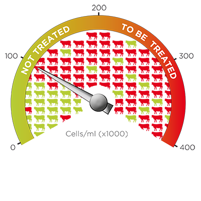 Herd with a high prevalence: the cut-off must be lowered