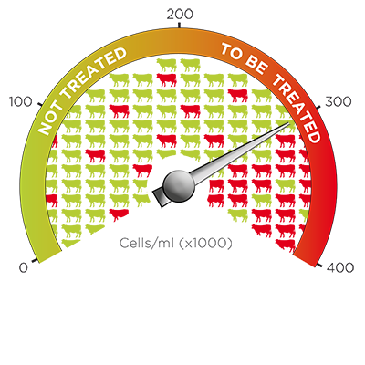 Herd with a low prevalence: the cut-off must be increased