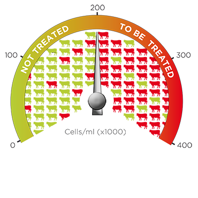 Herd with a moderate prevalence: a cut-off of 200,000 cells/ml is convenient